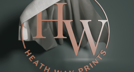 Logo cloth reveal in&nbsp;Blender